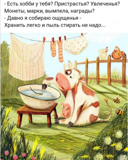 moimir_j-___CEBs_zWDDHz___-