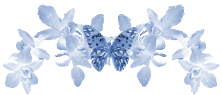 c19628186e485bb317f1e87390d470326d5b1148_hq