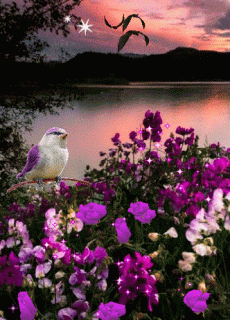 c4018334e3c84802f7e4883455457fc3