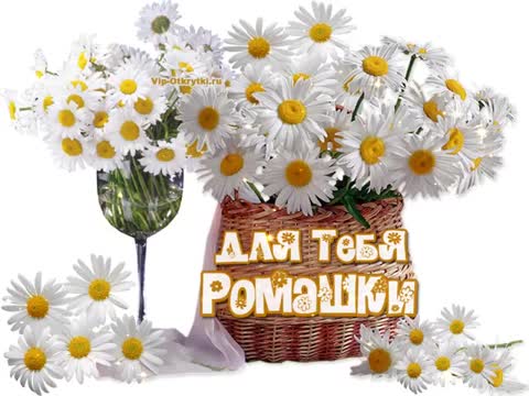 С Днем Рождения