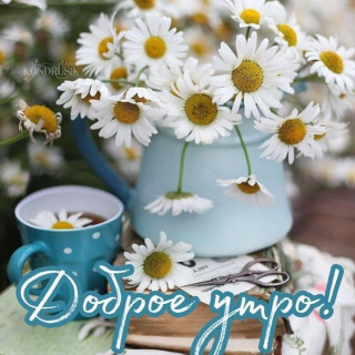 lopatinasvetlana1961-___CEOCgbFMP0F___-