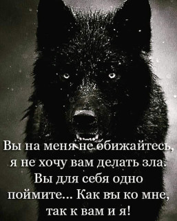 citaty_hayluiz-___CEMdgi8j453___-