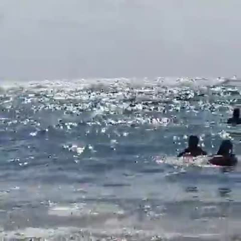 море_16
