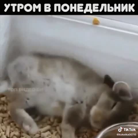 UID1277139_1597652449_39