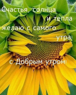 sychevaliubov9385-___CEGynO5ojF1___-