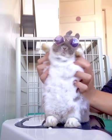 good_boys_and_girls-___CEUQdBhKQXL___-