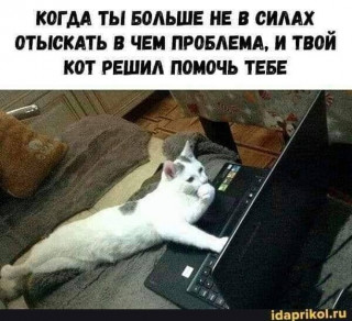 vse_muzhiki_boom-___CEUJxvMIEQS___-