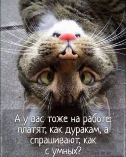 elkonatalia-___CEUMfozopKt___-