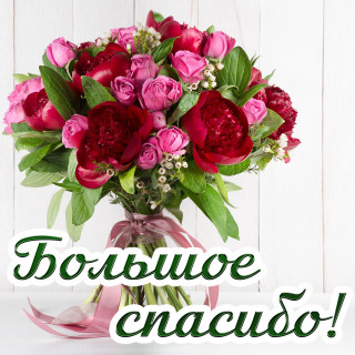 spasibo0040