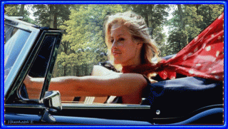 284efd79fa26e9269263d09613b0461b