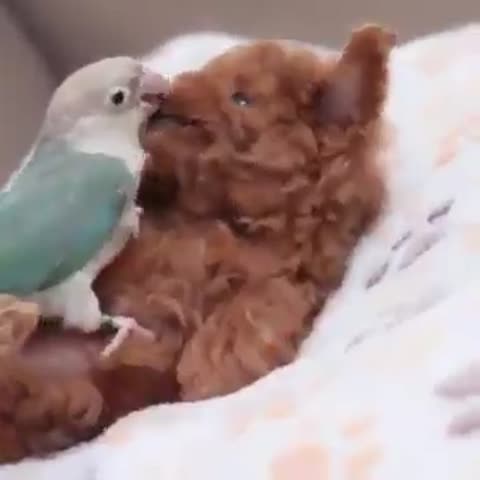 смотри_какая_красота2