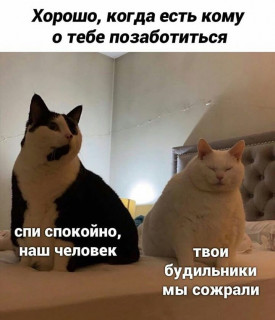 mems_power_-___CEcFb4mDaXx___-