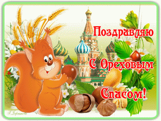 gif_1503961568