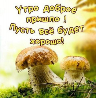 _smile_ua_-___CEdb49ejVnG___-