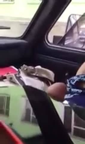 и_смех_и_грех1