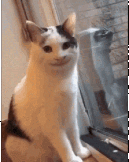 котулыбается