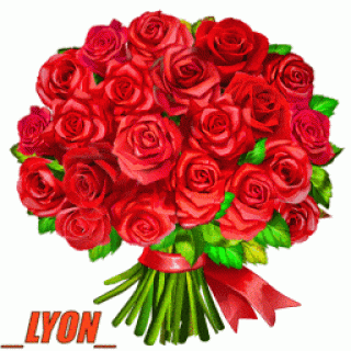 _Lyon_3