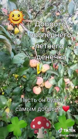 20200831_вот_и_лето_прошло