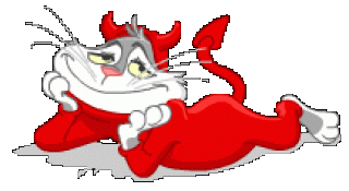 Котик