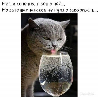 vsiom_obo-___CEo9IEEDH0c___-