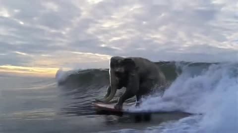 хочу_как_он