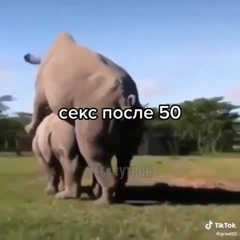 секс_после_50и