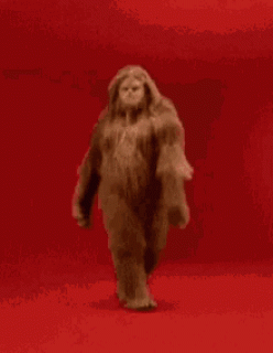 chubacca