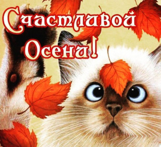 krivenkovatamara-___CEkt4snn_X5___-