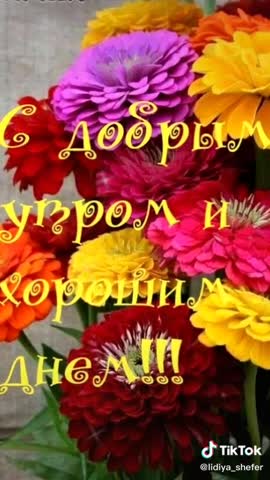 04092020Доброе_осенние_утро