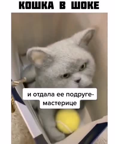 kiss_mr__-___CEuL_X6DQj2___-