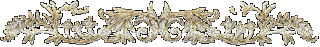 d53cc