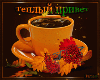 Теплый привет