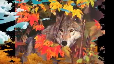 серебряный_дождь