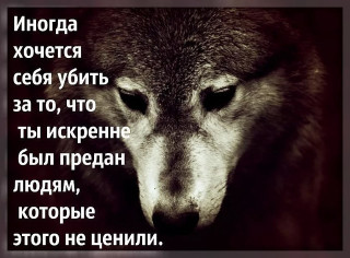 image-1_nasimke_