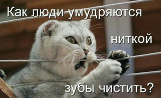 70