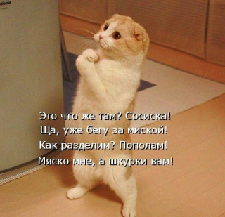 73
