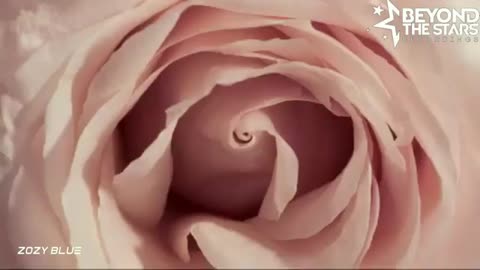 ANDY JORNEE - Writing On The Wall [Extended Vocal MIX]