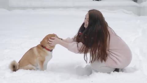 AMALIYA ft Dj ARTUSH - СОЛНЦЕ МОЕ