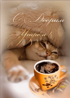 f2a4d31fe9b657c1834e3fc7e2299b33