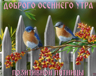 otkrytki-i-kartinki-animacionnye-blestyashhie-gif-bodrogo-utrechka-164-width320