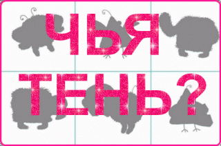 zrdUY9IA4pHp