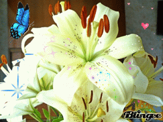 Белые лилии