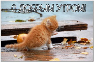 gSmuB8KpilM