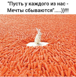 moi_mir_pozitiva-___CE60rDzDv2A___-