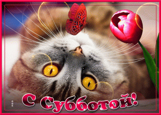 ДОБРОЕ утро суббота красивое