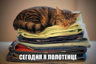 75