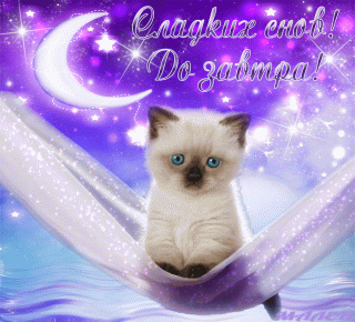 Котенок  до завтра