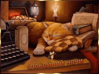 Ночи рыжий кот