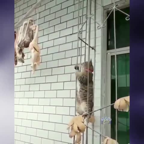 ВСЕ_РАВНО_МОЕЙ_БУДЕШЬ