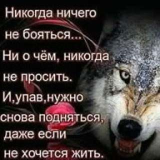 НИКОГДА___НИЧЕГО___